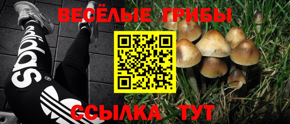 Борзя  Галлюциногенные грибы GOLDEN TEACHER  Вход с VPN  Галлюциногенные грибы MAGIC MUSHROOMS 