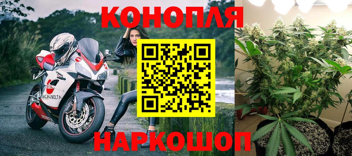 Бошки марихуана AK-47 Борзя